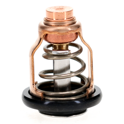 THERMOSTAT thumbnail-6