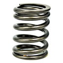 OUTER SPRING VALVE