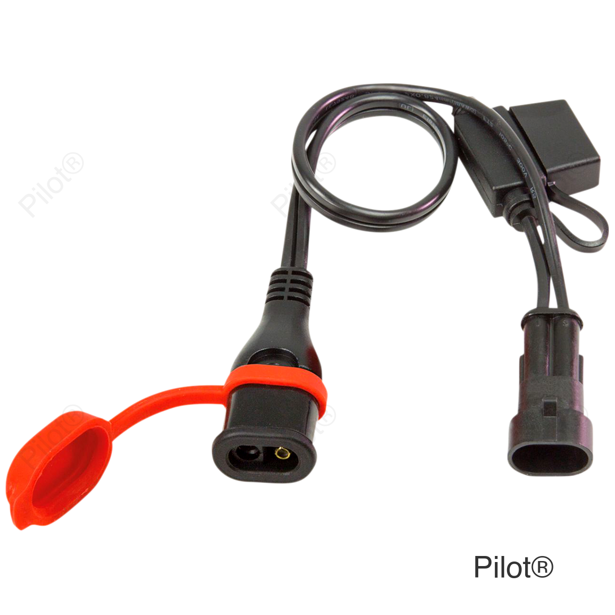 Adapter - MV Augusta to SAE