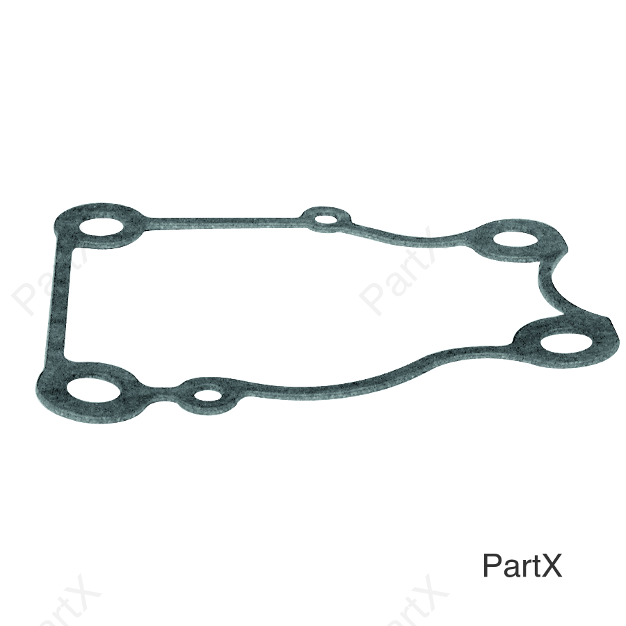 Gasket (38008)