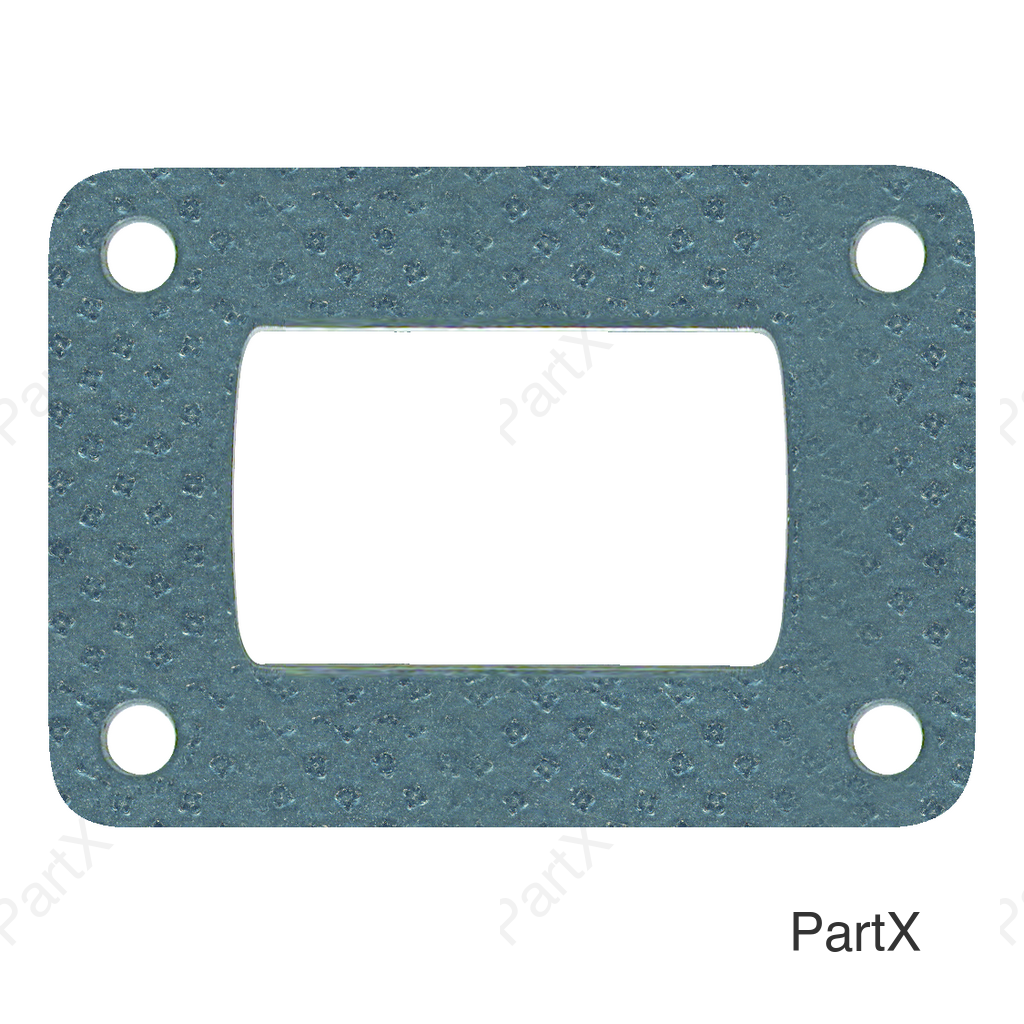 Gasket (36820)