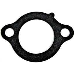 Tensioner Case Gasket