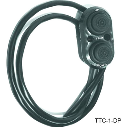 Transom Trim Control thumbnail-1