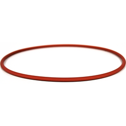Dust Seal