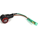 Pilot Light Assembly