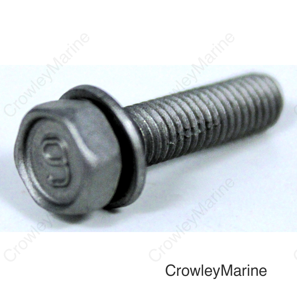 Bolt with Washer