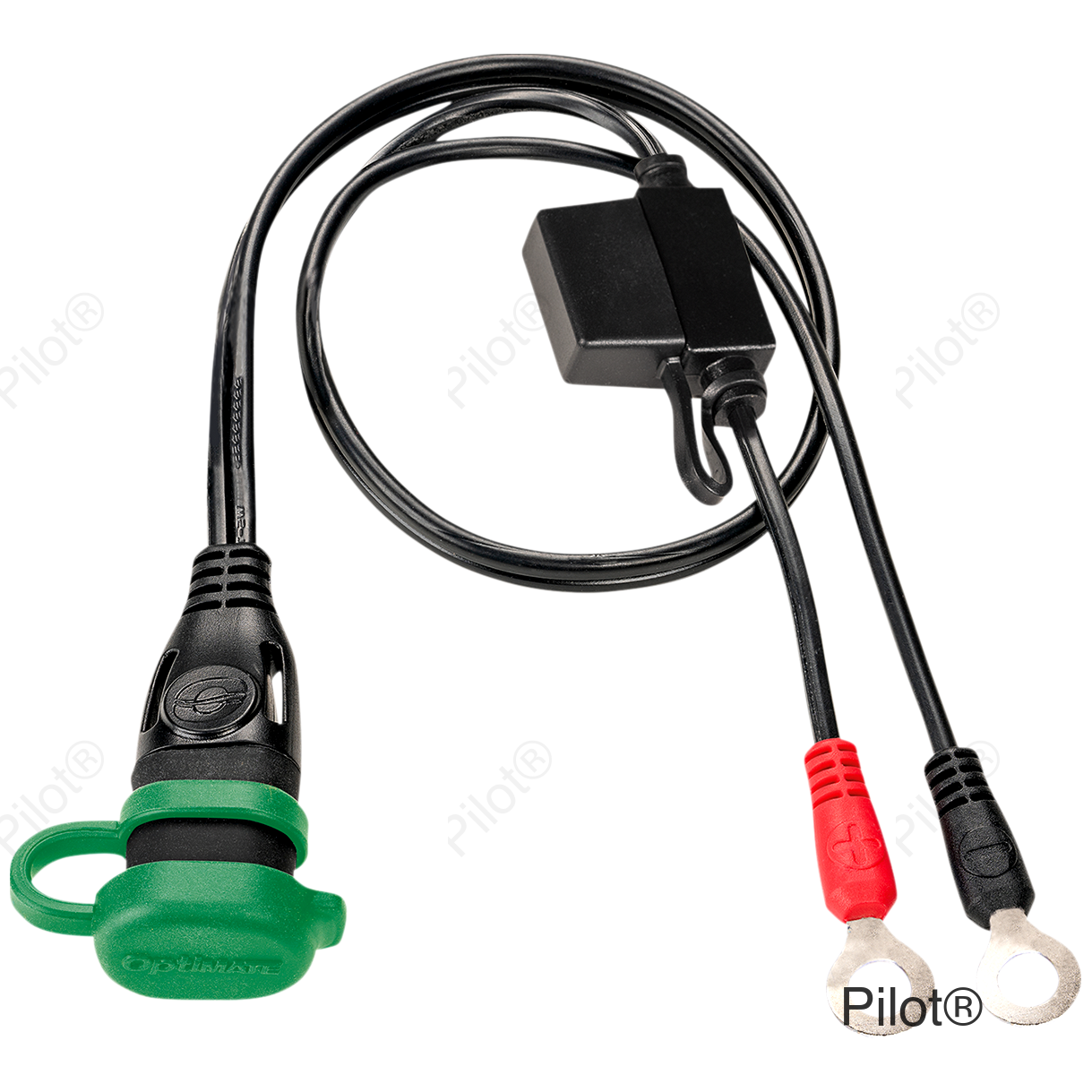 Battery Cord - Jar