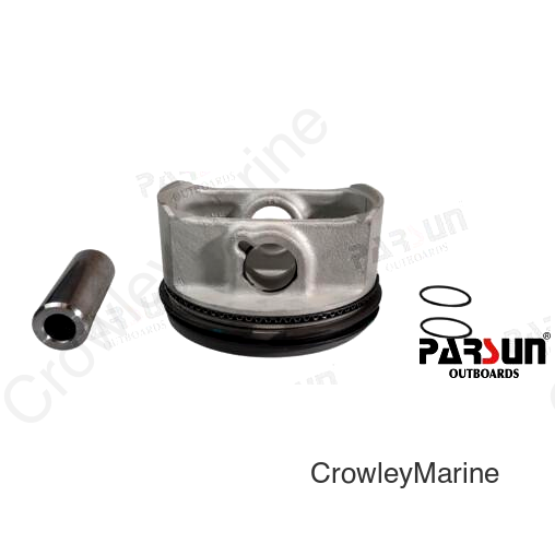 PISTON ASSY