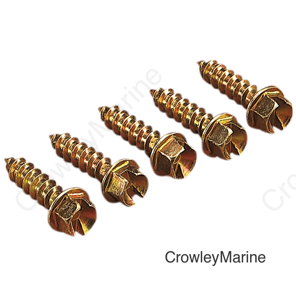 Ice Screws - Gold - 3/8" - 1000