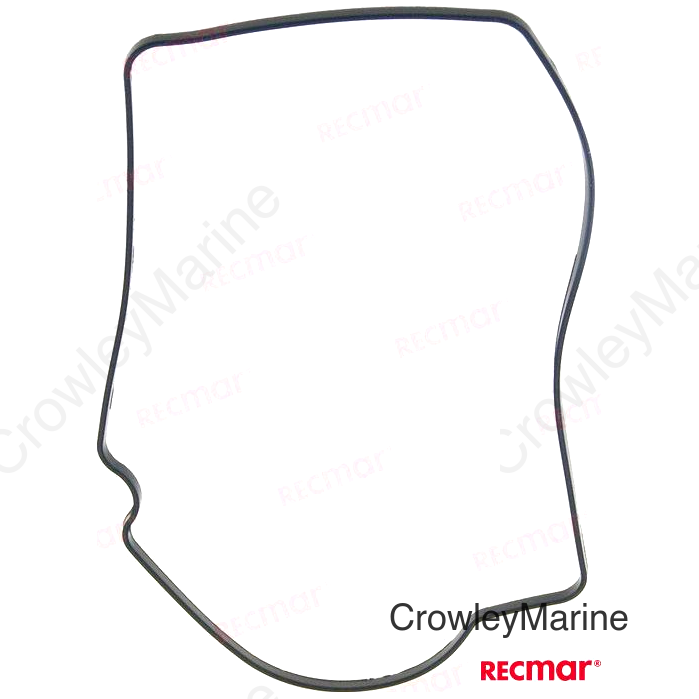 O-RING (REC6AW-14984-00)