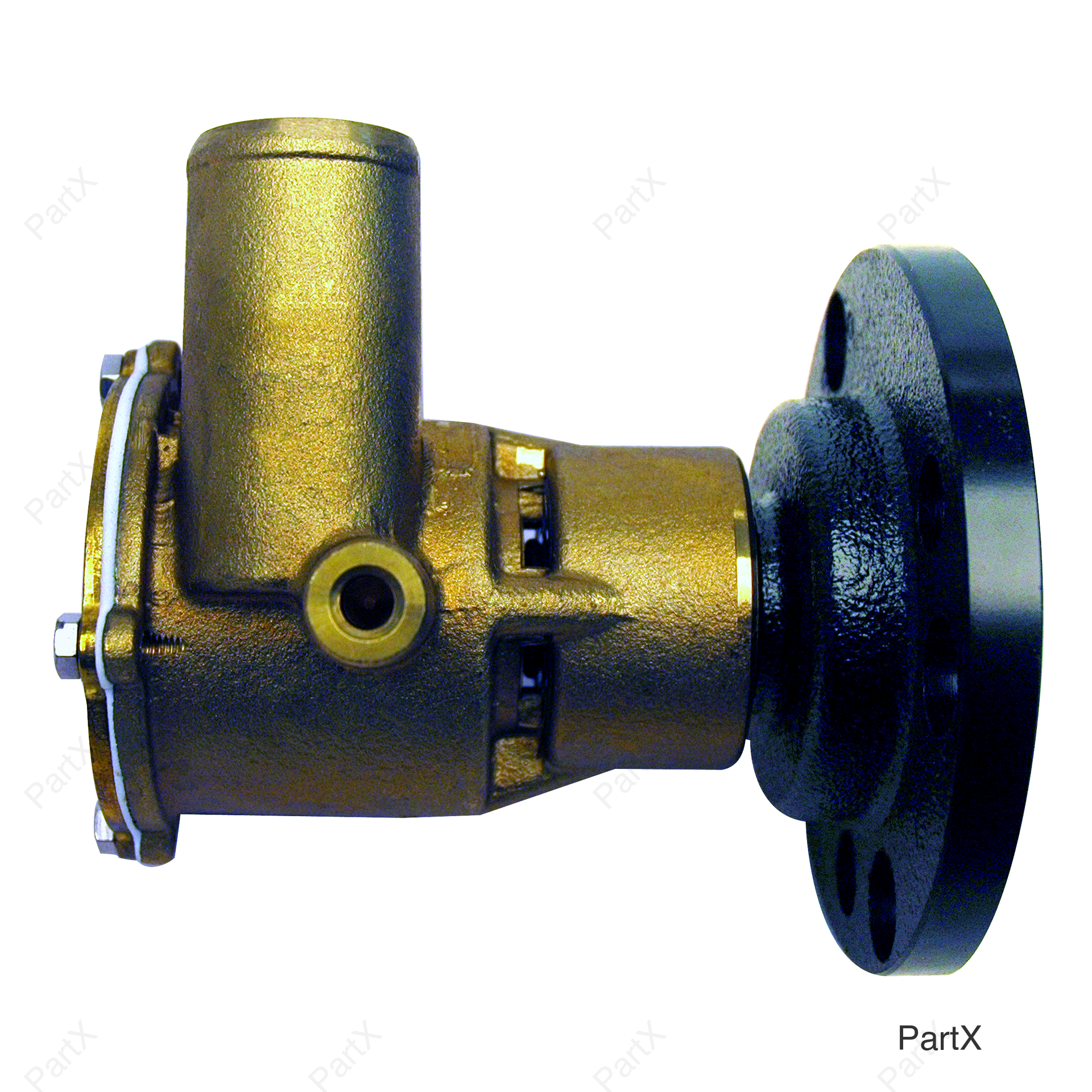 Water Pump Assembly