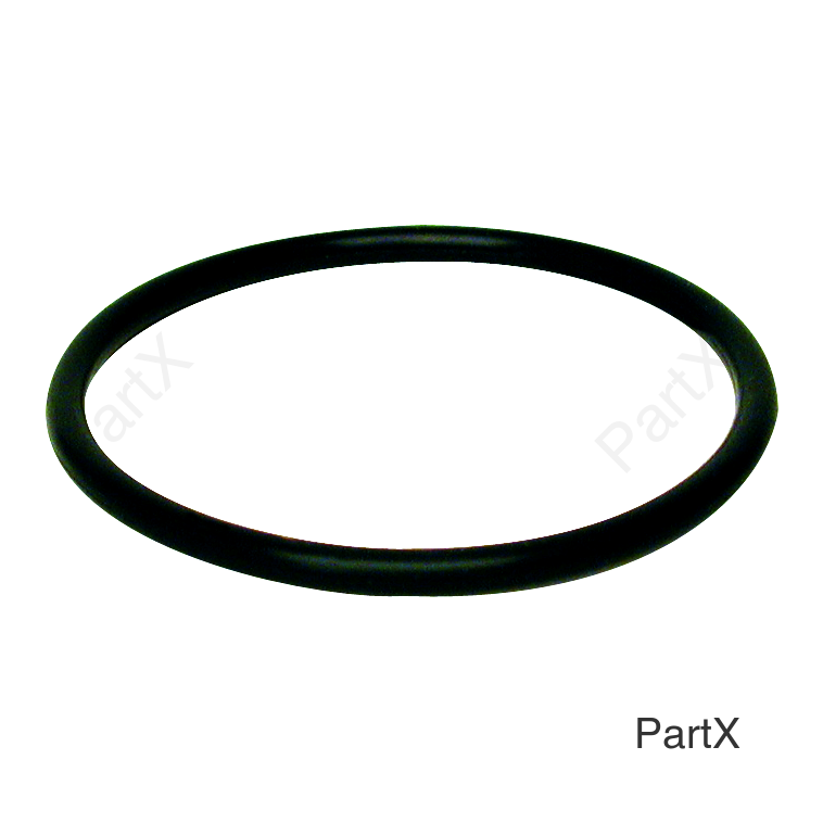 O-Ring (84290)