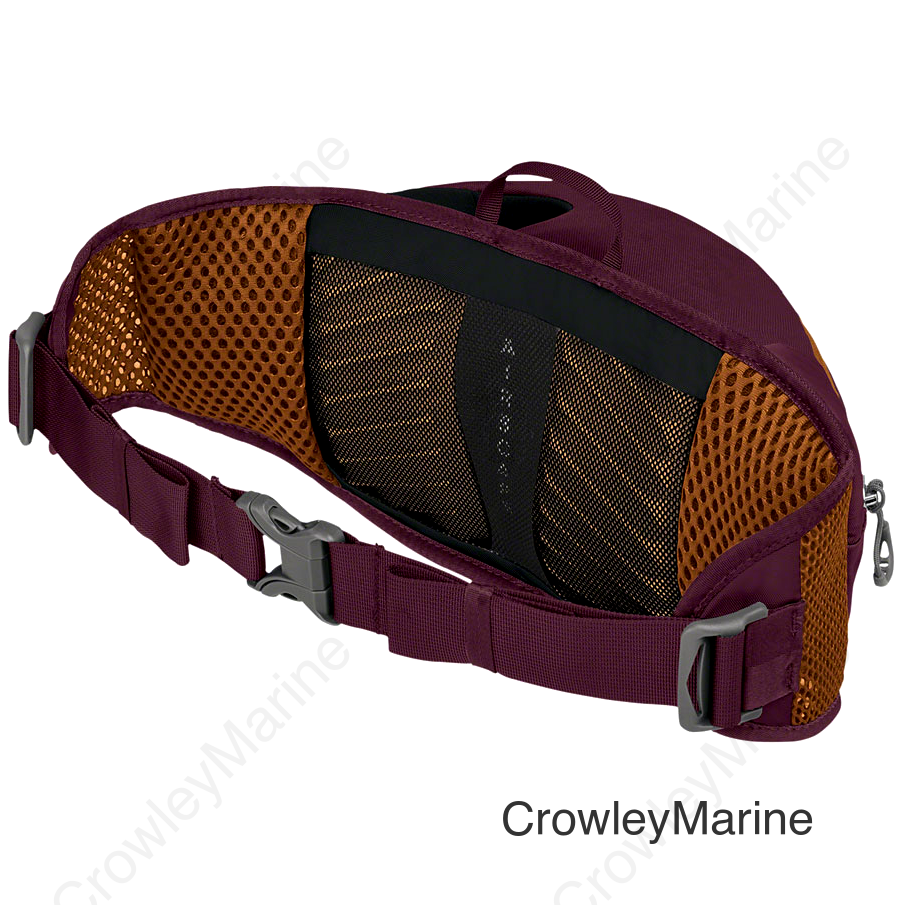 Osprey Savu 2 Lumbar Pack - One Size Aprium Purple