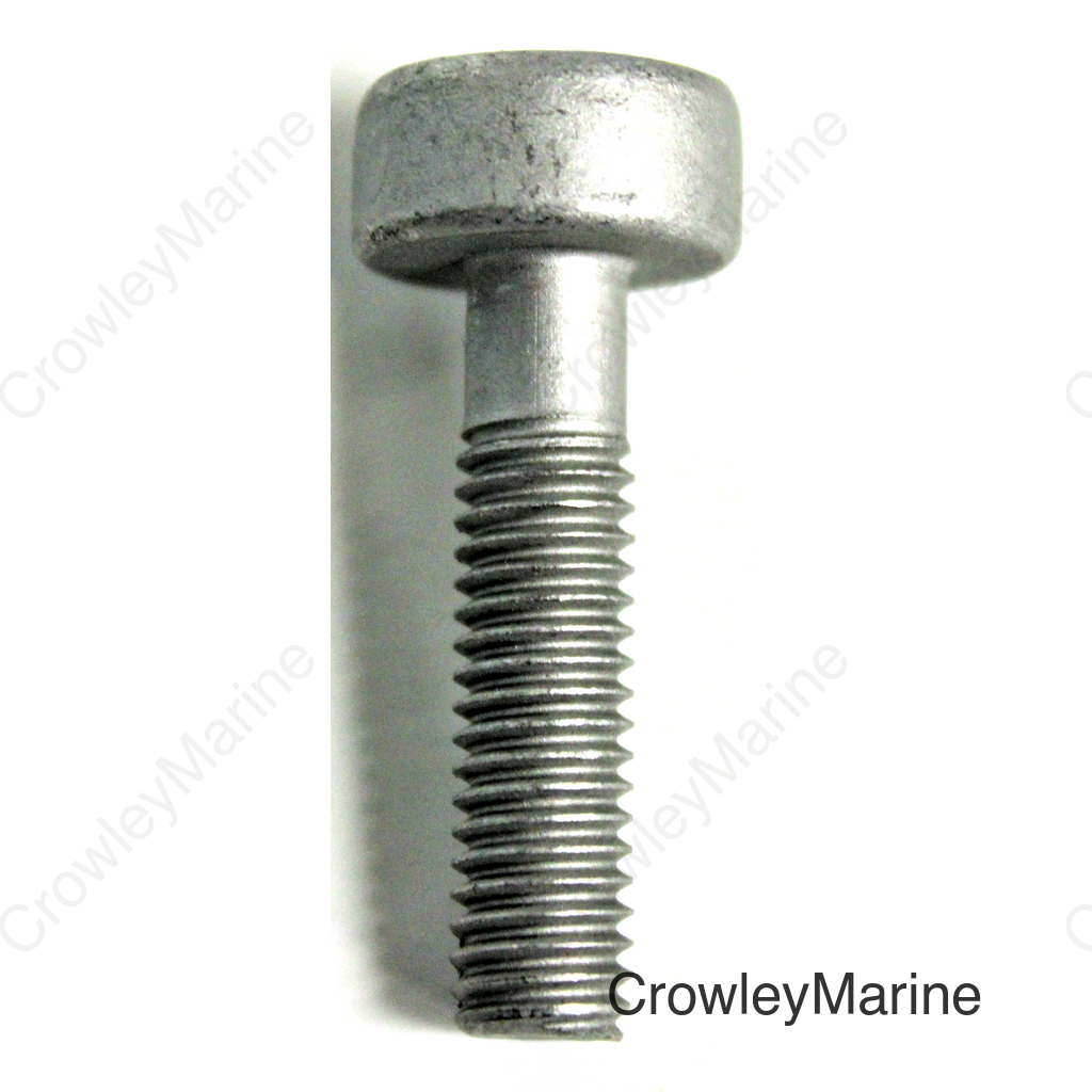 BOLT, SOCKET (6X25)