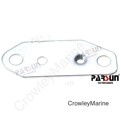 PLATE, MICROSWITCH