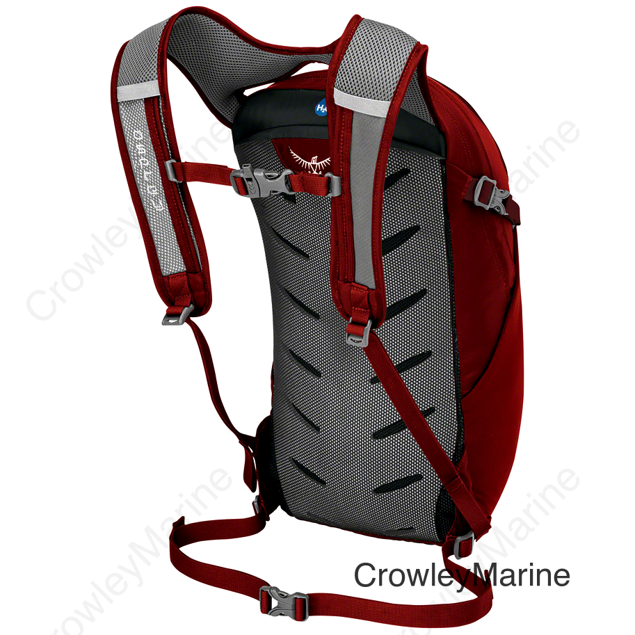 Osprey Daylite Backpack - Cosmic Red One Size