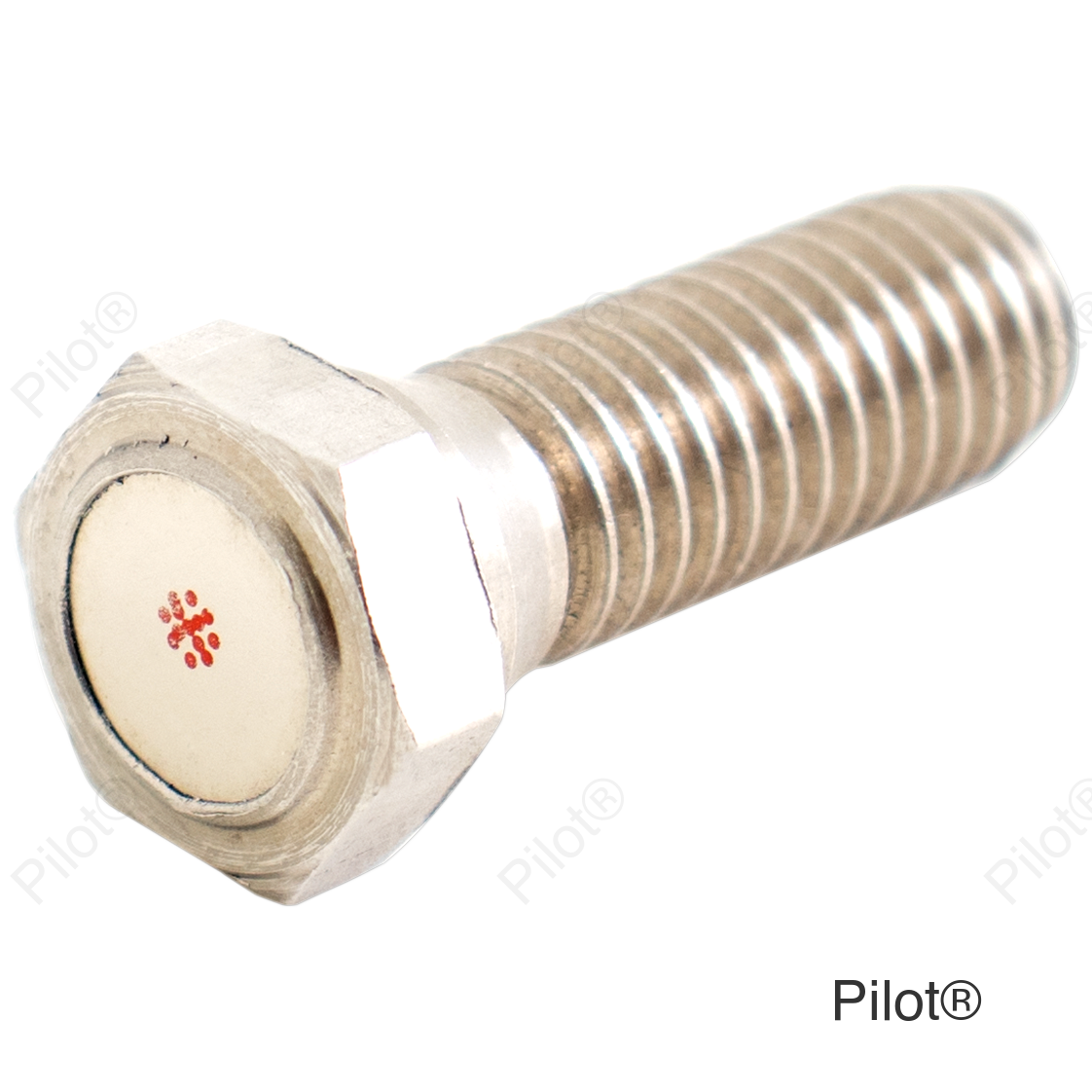 Speed Sensor Magnet Bolt - M6 x P1.1 x 12.6 mm L
