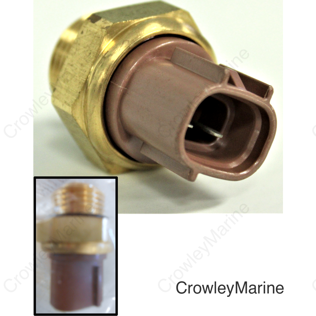 Thermo Switch Assembly
