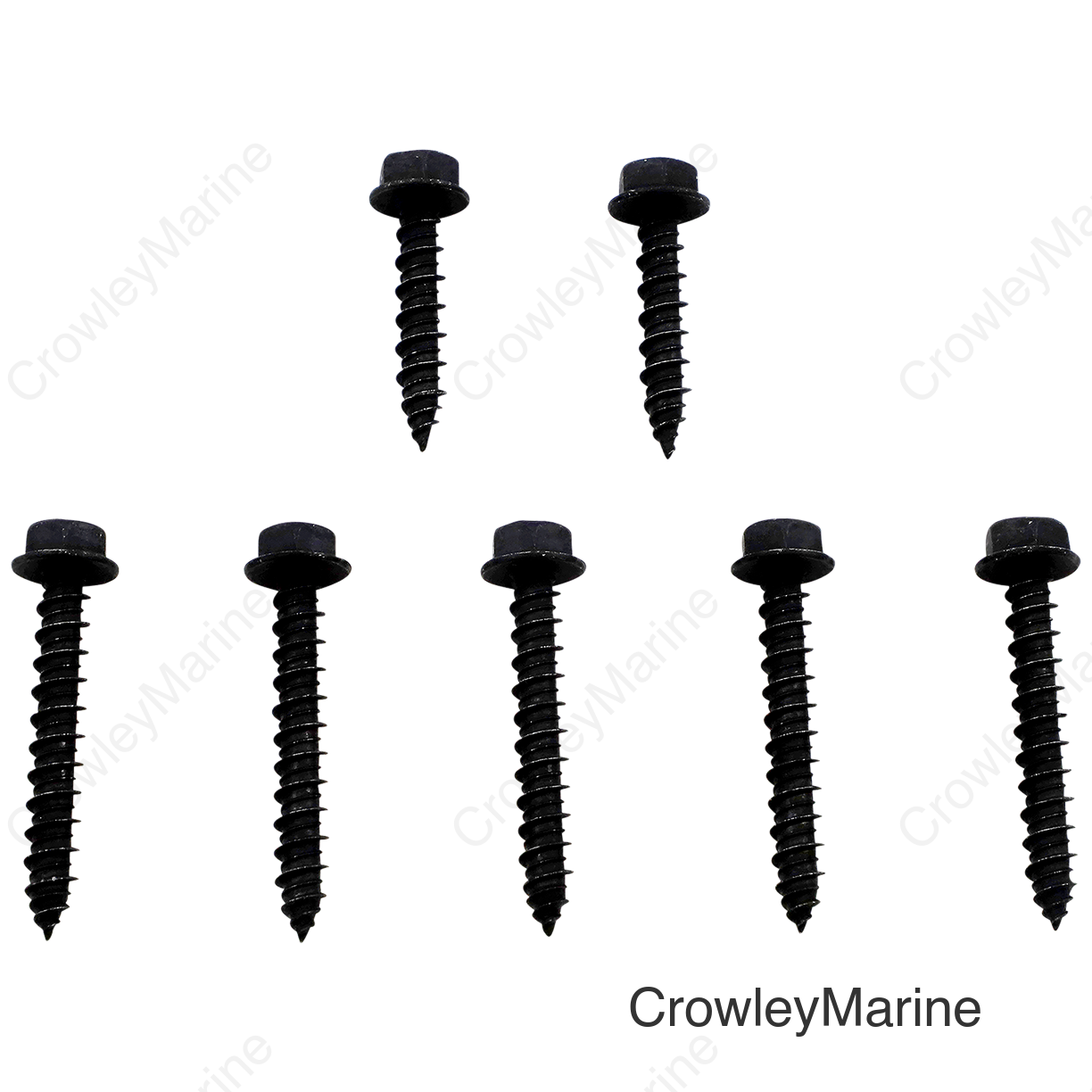 CLUTCH CVR SCREWS POL
