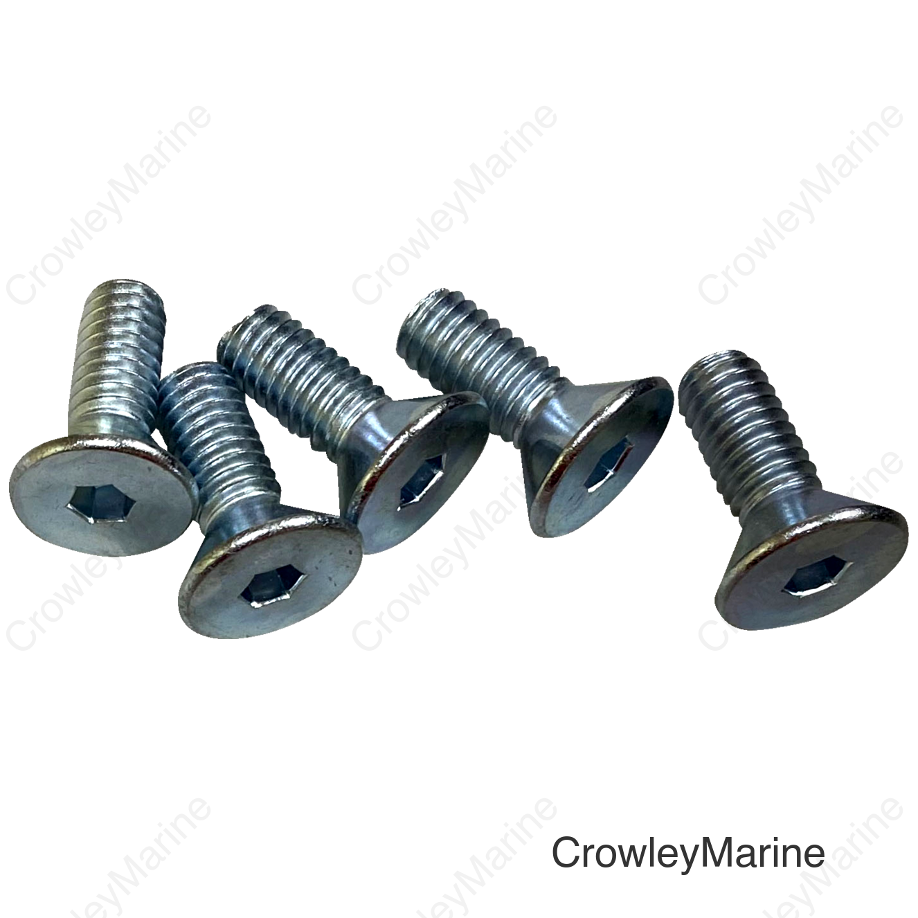 SCREWS F RTR 5/16-18CS