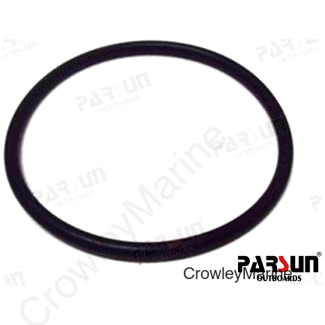 O-RING (PAF25-04050003)
