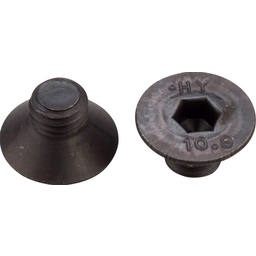 Mutant Bikes Peguard Fixing Bolts 2 Bolts