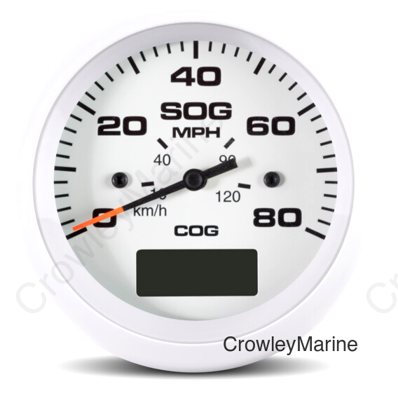 Speedo GPS, Arctic, 80 mph