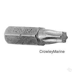 Screw Driver Bit, T25, For WLS100 (489204)