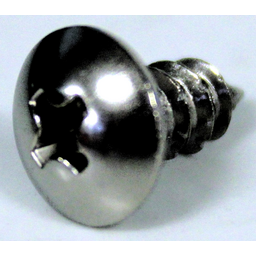 SCREW, TAP (4X10)