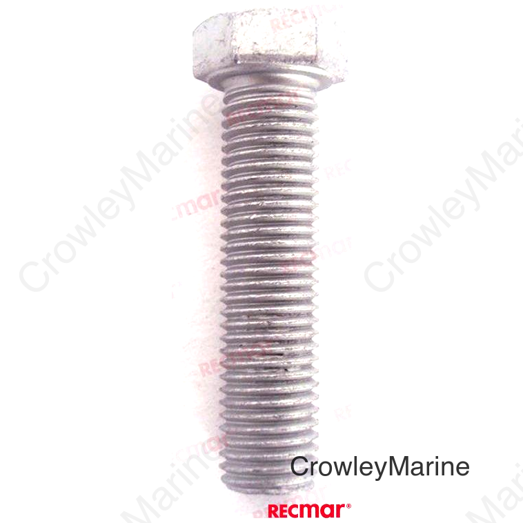 SCREW (REC97075-10040)