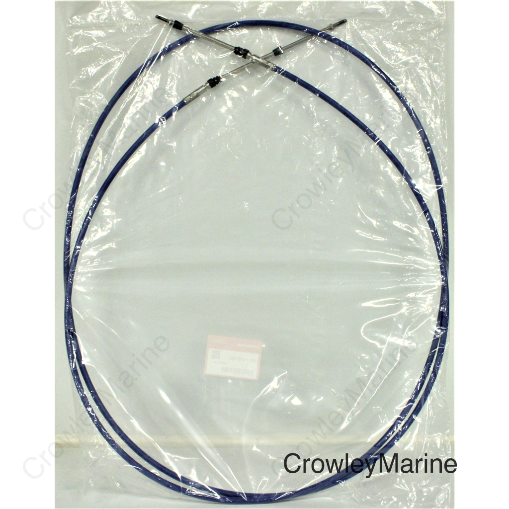 CABLE (12')