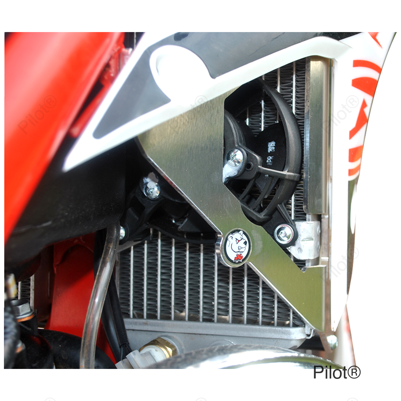 Radiator Braces - Beta