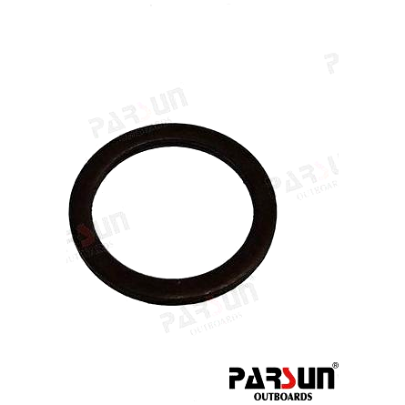 -PAF15-06070007