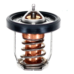 THERMOSTAT COMP