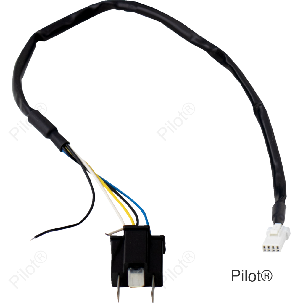 Wire Harness - FLHX