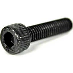 Bolt (4MY)