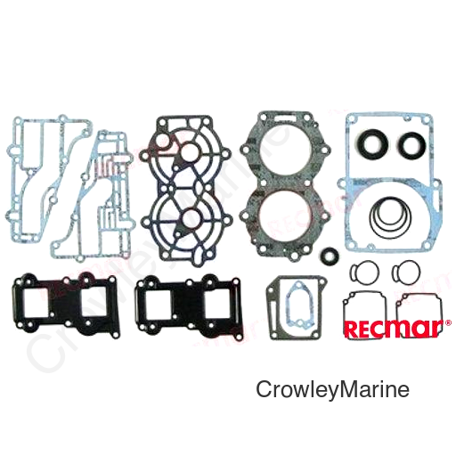 POWERHEAD GASKET KIT (REC6L2-W0001-03)