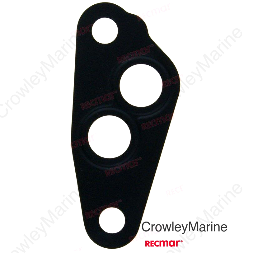 FILTER ADAPTER GASKET (REC16539-87L00)