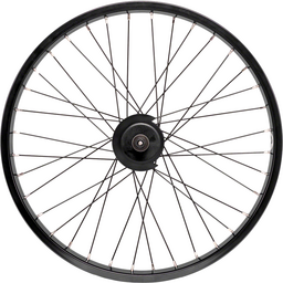 Salt Everest Rear Wheel - 20 Black Freecoaster LHD