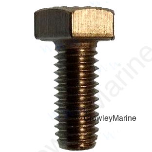 BOLT M6X10 (PAGB/T5783-M6X10)
