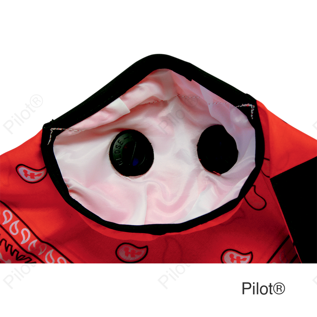 Bandana Dust Mask - Red