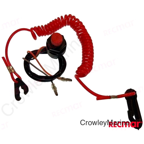 IGNITION KILL SWITCHES (REC69W-82575-00)