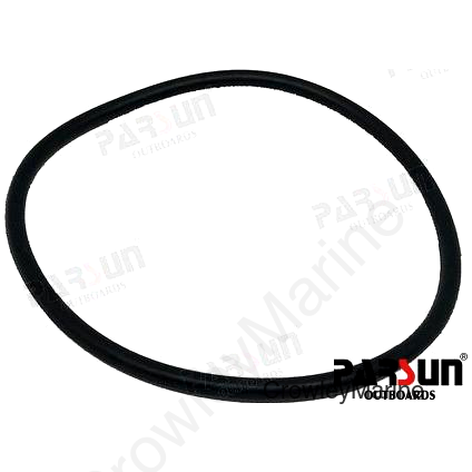 O-RING (PAJASOF40424-050)