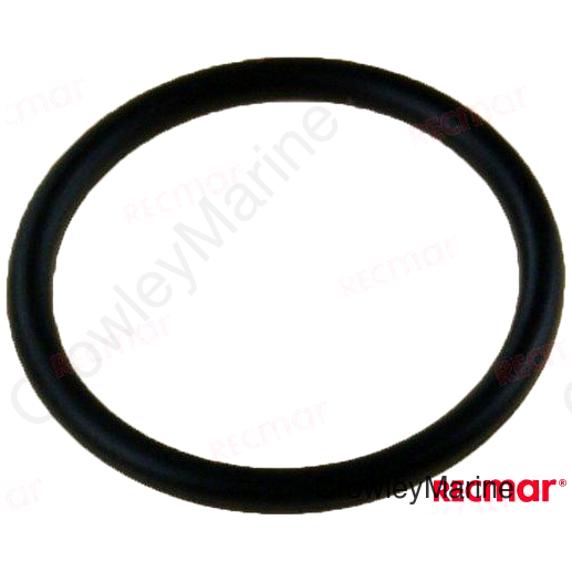 O-RING (REC93210-19MJ1)