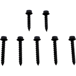 CLUTCH CVR SCREWS POL thumbnail-0