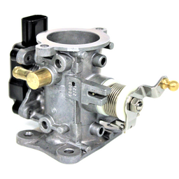 Throttle Body Assembly