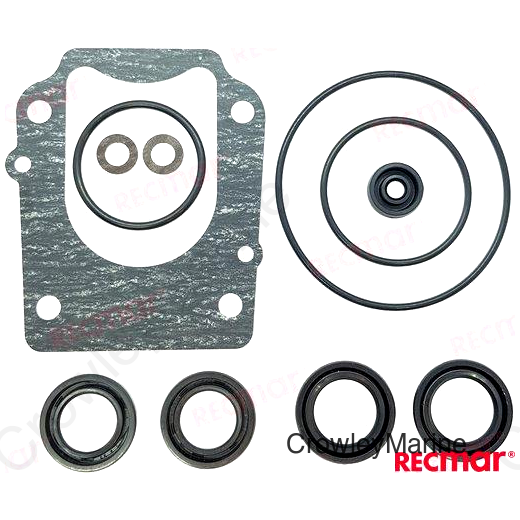 OIL SEAL GASKET KIT (REC25700-87L00)