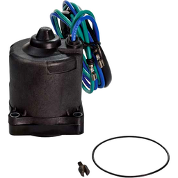 Motor with O-Ring