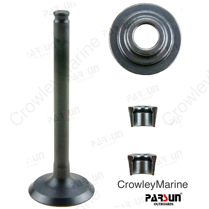 VALVE, INTAKE (PA166F-010001)