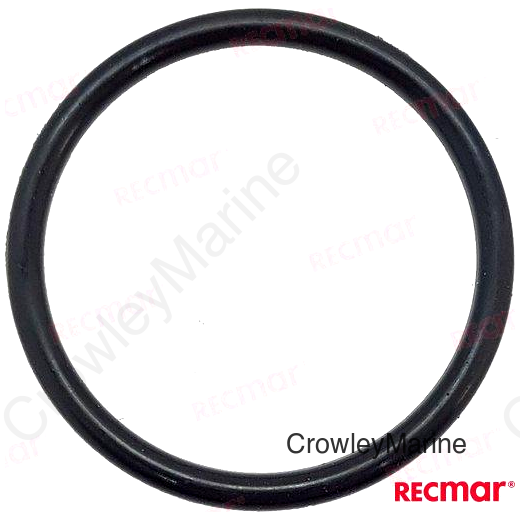 ANODE O-RING (REC09280-22019)